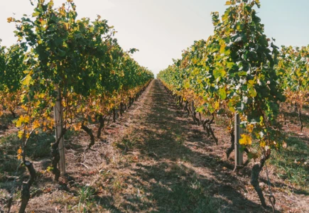 Une fiche récapitulative sur les modes de conduite