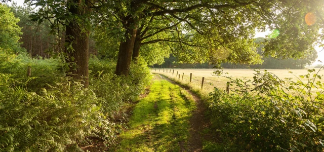"Comprendre l'évolution du climat", une conférence d'Hervé Le Treut