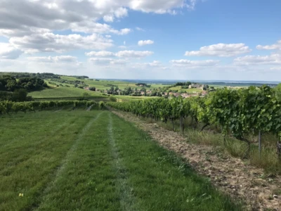 INDICE DES FERMAGES 2021 : 106,48, UNE AUGMENTATION DE 1,09 %