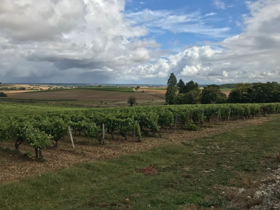 ÉGalim 2 : comité de suivi des relations commerciales entre les ministres de l’Agriculture et de l’A...