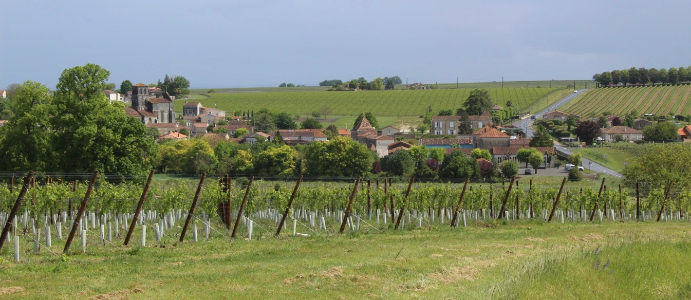 AGRICULTEURS, MAISONS DE NÉGOCE, BOUILLEURS DE CRU : UNE ENQUÊTE JUSQU’AU 15 SEPTEMBRE 2021 DE GRAND...