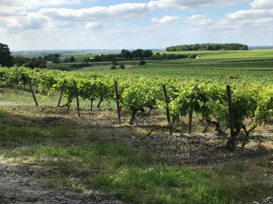 Consultation du public sur le dispositif des Zones de Non Traitement (ZNT)