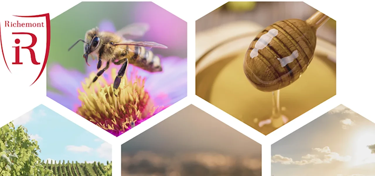 "Vers une viticulture durable: Vitiforesterie et pollinisation", une conférence organisée par les ét...