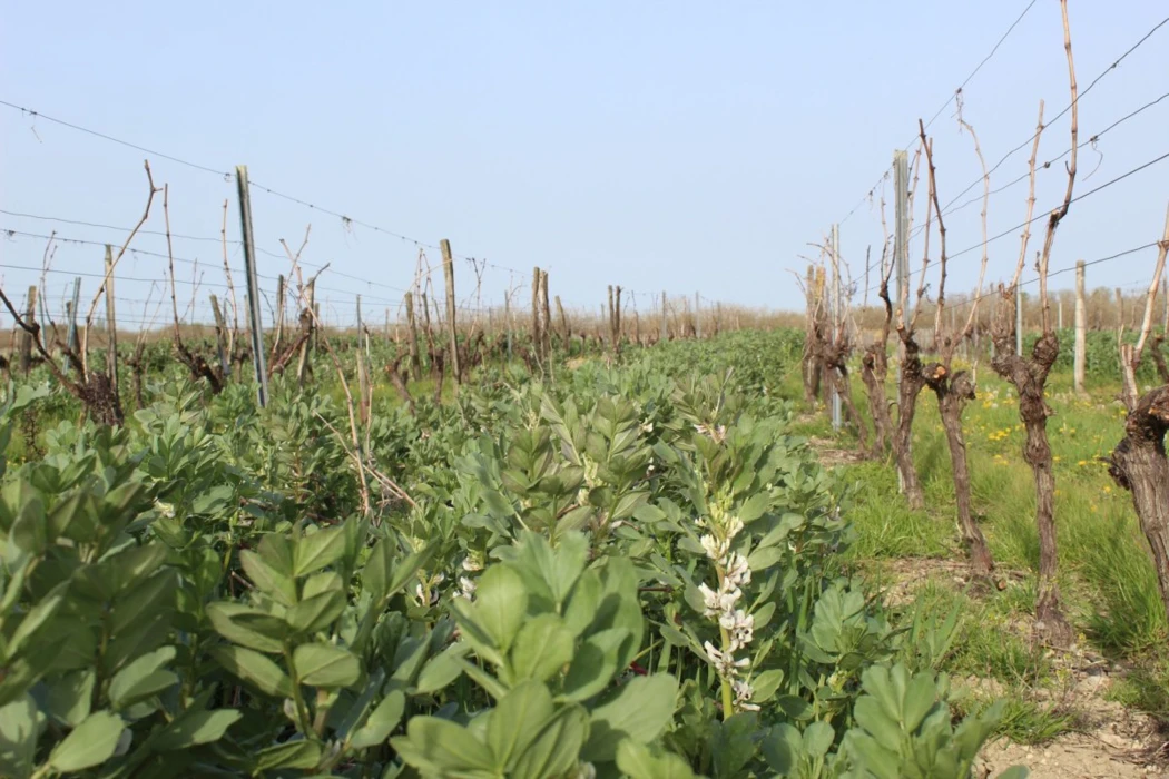 Recensement agricole 2020 : les premiers résultats provisoires 3/3 (abonnés)