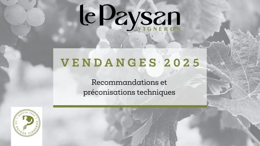 Millésime 2025 :  une précocité inattendue….