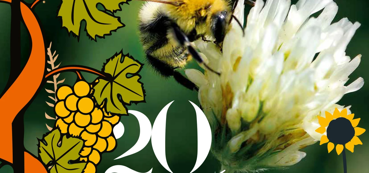 L’hiver pour rêver