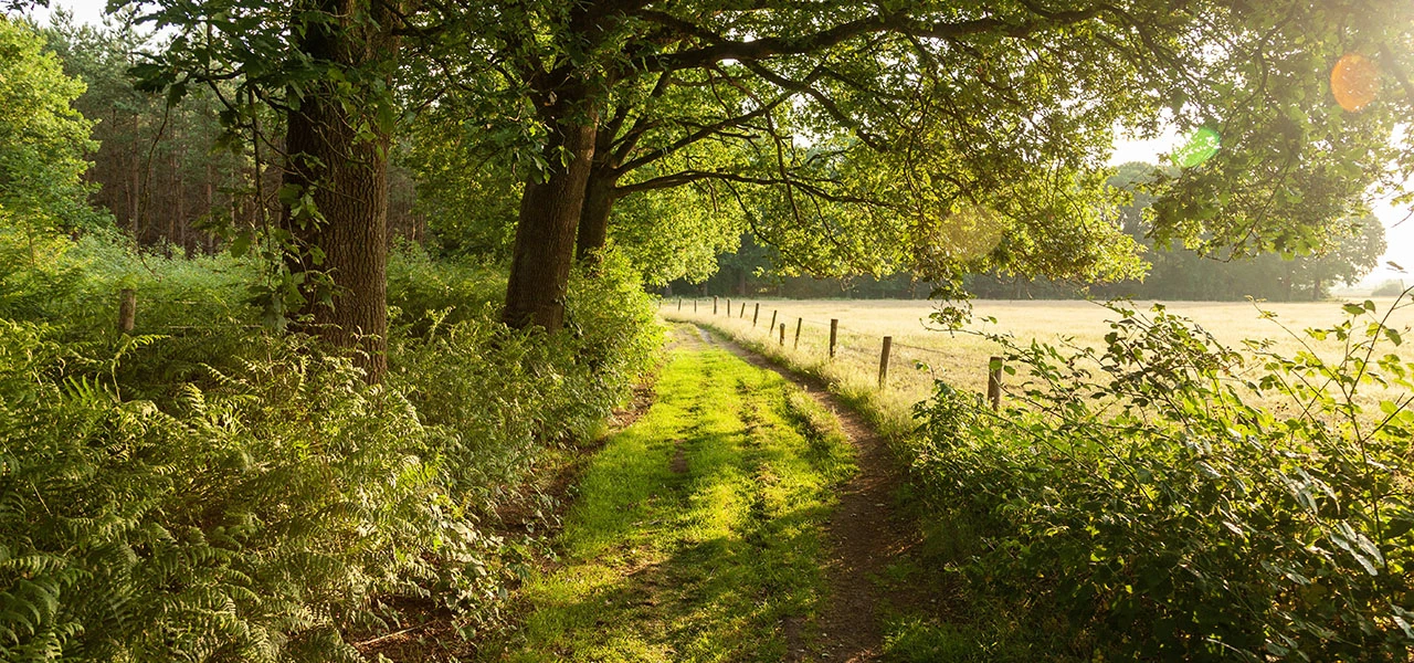 "Comprendre l'évolution du climat", une conférence d'Hervé Le Treut