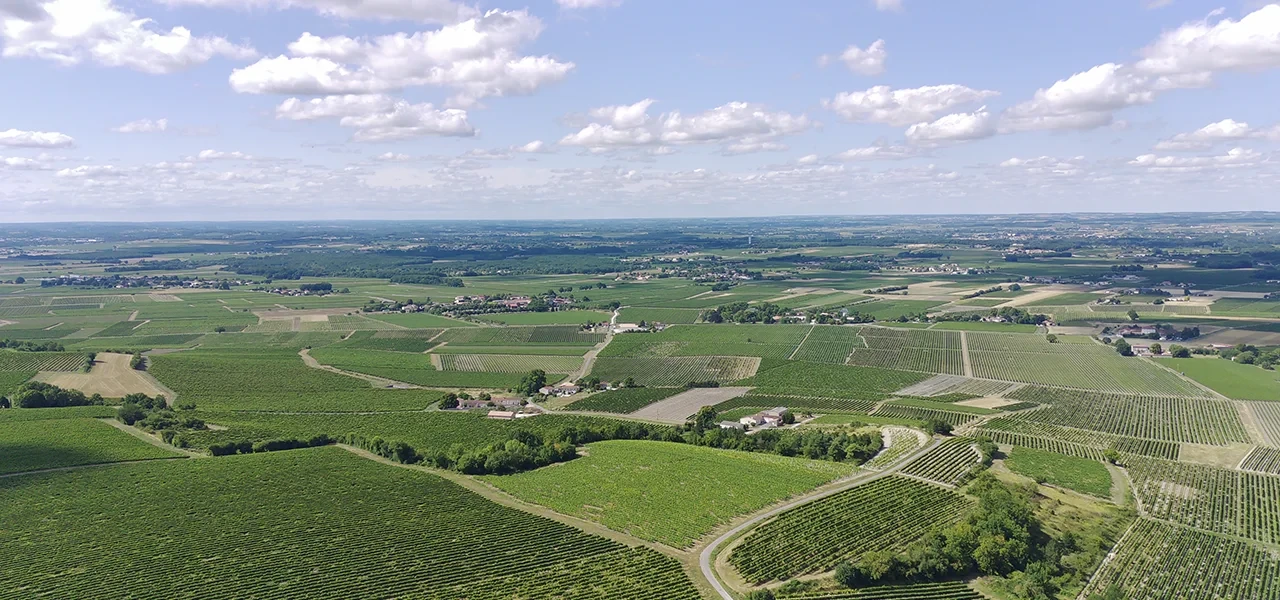 La renonciation aux plantations est disponible jusqu'au 31 décembre