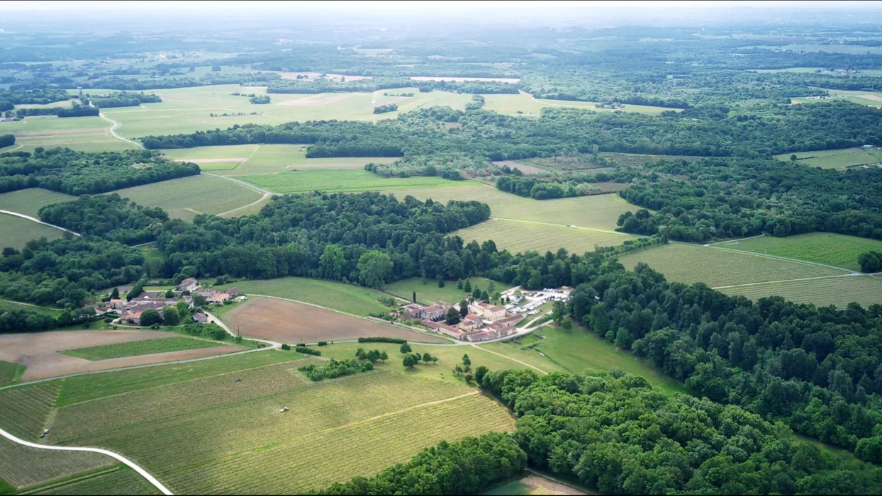 Les Jeunes Agriculteurs secouent la filière Cognac : l’UGVC s’aligne, le négoce répond