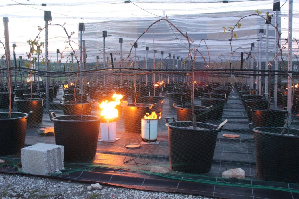 Ministère de l’Agriculture et de l’Alimentation : projet de loi portant réforme des outils de gestio...