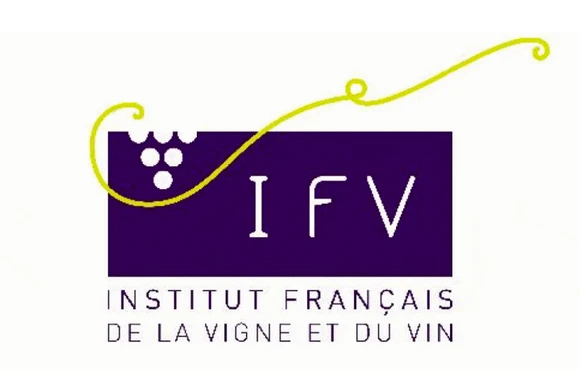 IFV : le basidiomycète crustomyces subabruptus responsable des arômes de champignon frais dans le vi...