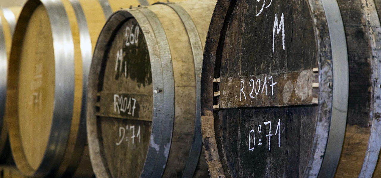 La montée en force des cognacs mono-cépages