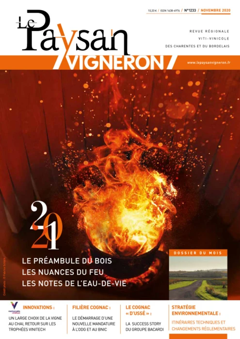 N1233 - Novembre 2020