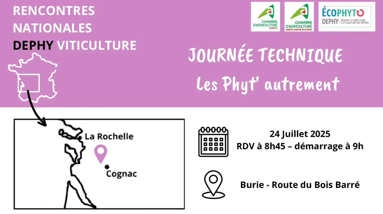 Les Phyt' autrement, une matinée d'alternatives