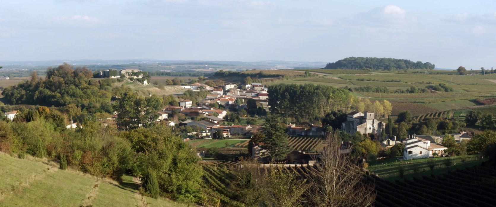 PROTÉGER LA VIE DES SOLS POUR PRÉSERVER LA BIODIVERSITÉ
