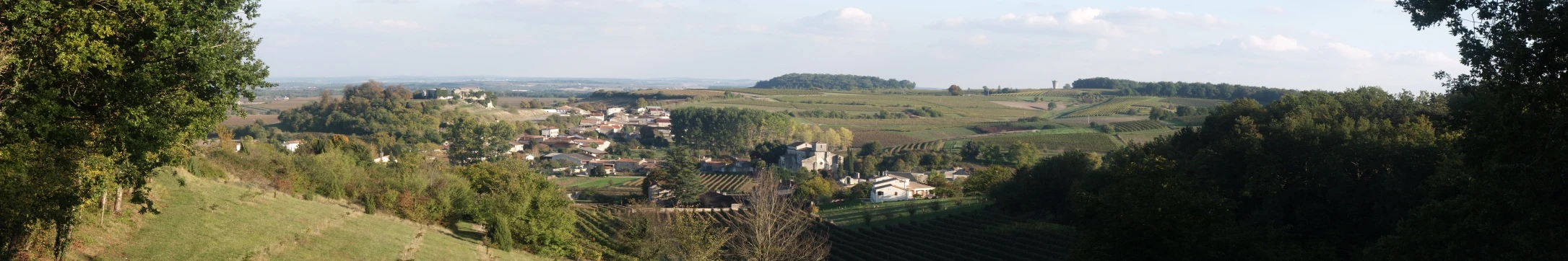 Recensement agricole 2020 : présentation des premiers résultats