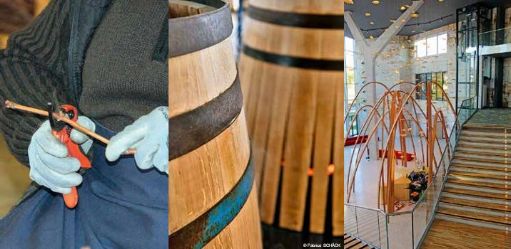 Business plan Cognac : regards croisés d’acteurs et de partenaires de la filière